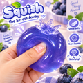 Blueberry Squeeze Toy
