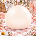 Orange Snow-Skin Mochi Squishy — product image