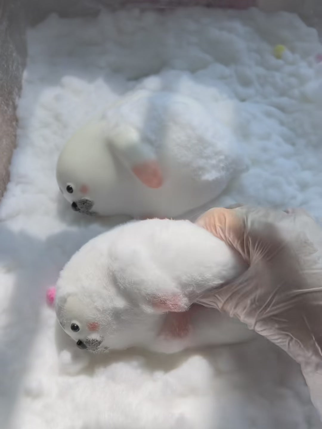 Realistic Seal Squishy