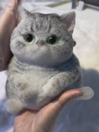 Chubby Fluffy Squishy Kitten